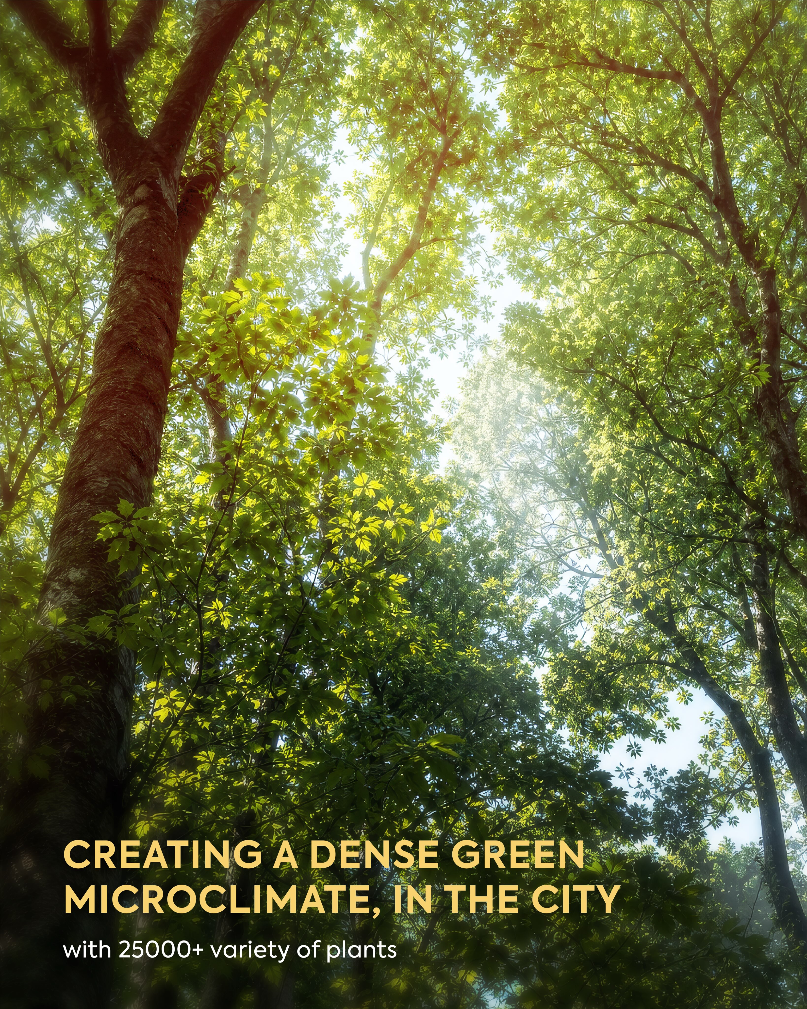 Aaryavart Developers,  Aranyam, AaryavartDevelopers, MiyawakiForest, GreenLiving, ShilajAhmedabad