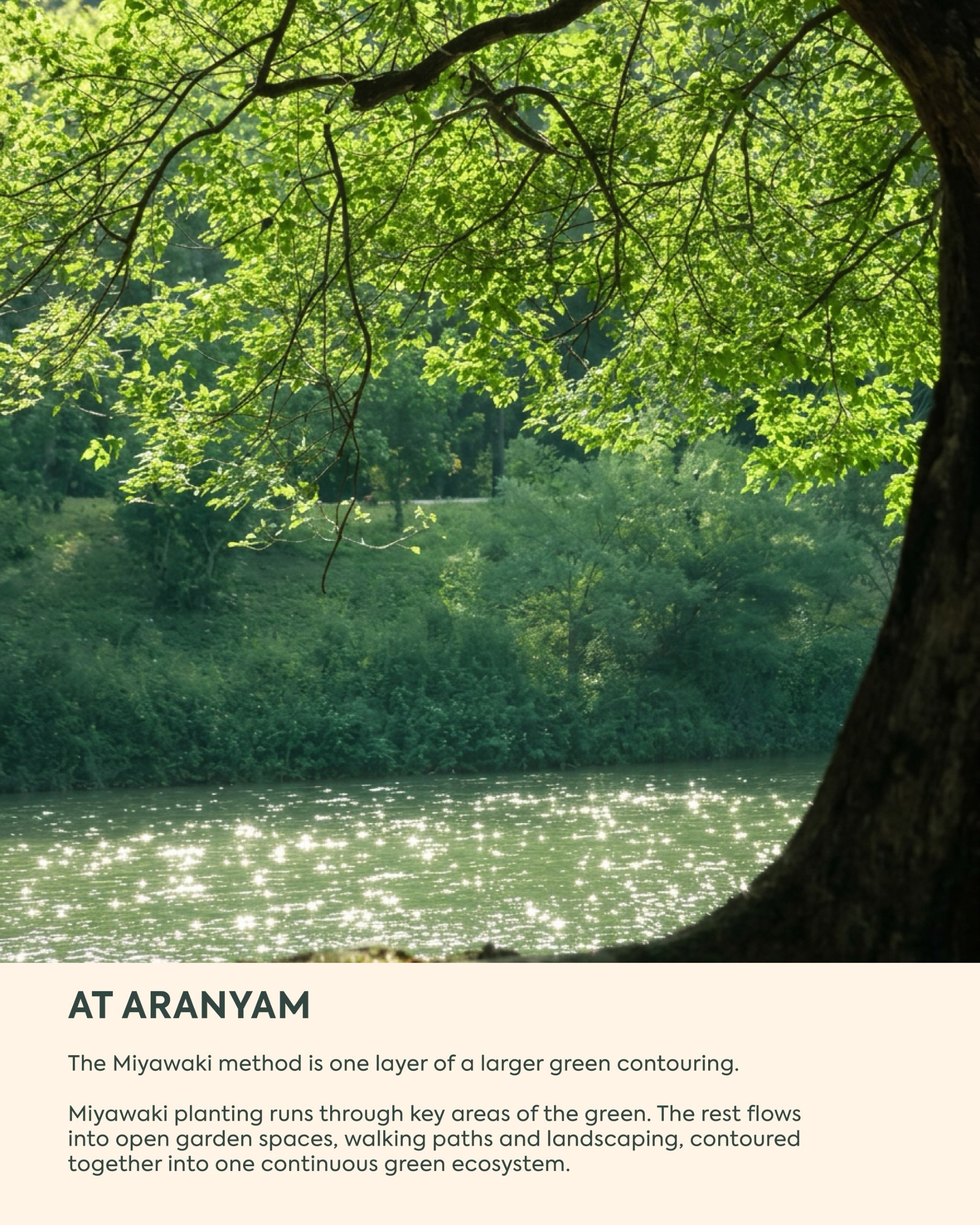Aaryavart Developers,  Aranyam, AaryavartDevelopers, MiyawakiForest, GreenLiving, ShilajAhmedabad