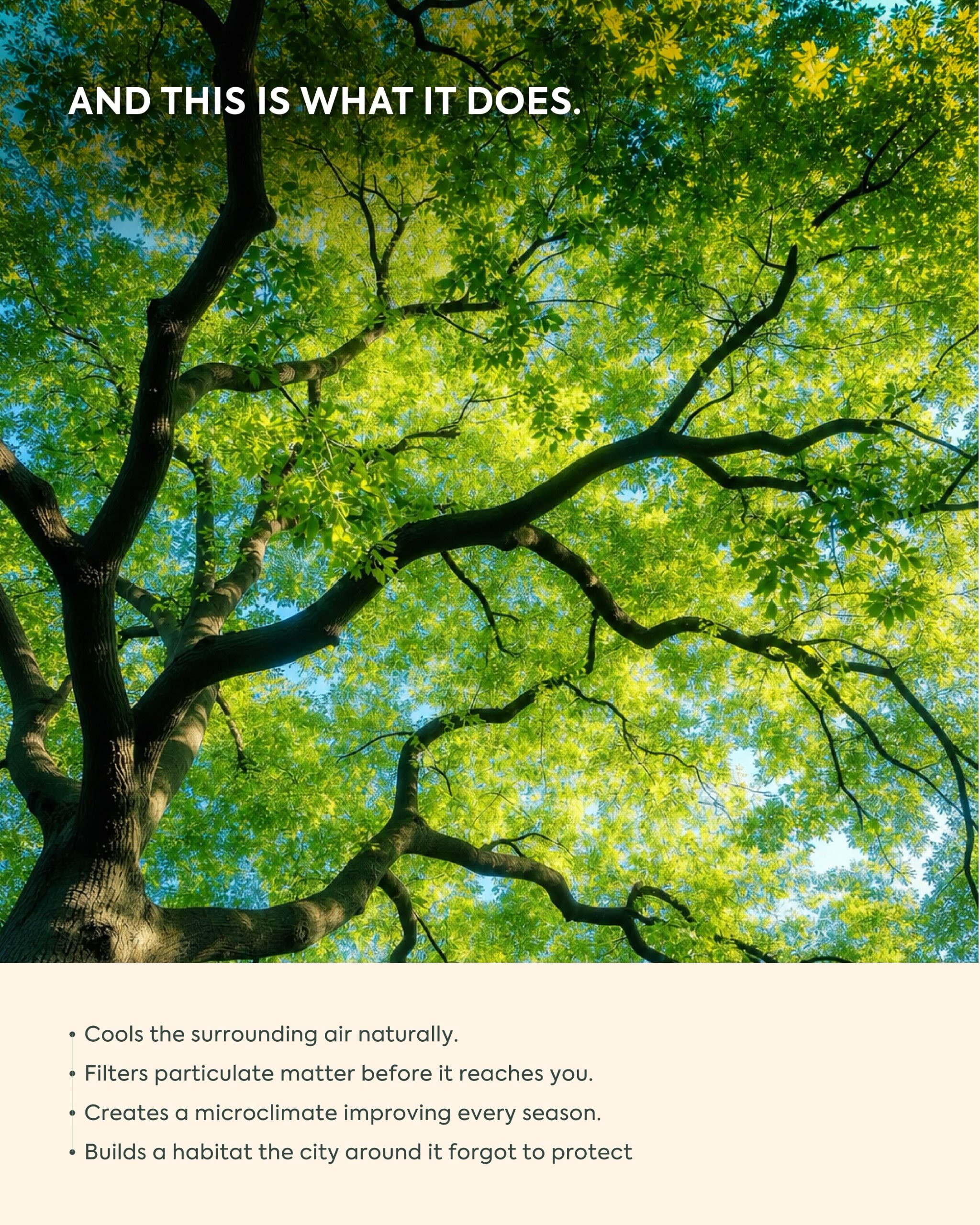 Aaryavart Developers,  Aranyam, AaryavartDevelopers, MiyawakiForest, GreenLiving, ShilajAhmedabad